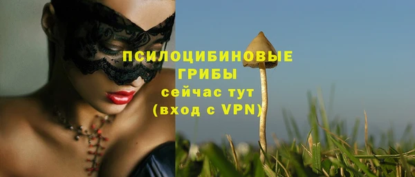 ешки Навашино