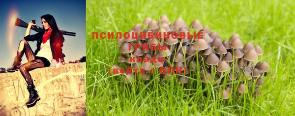 первитин Михайлов