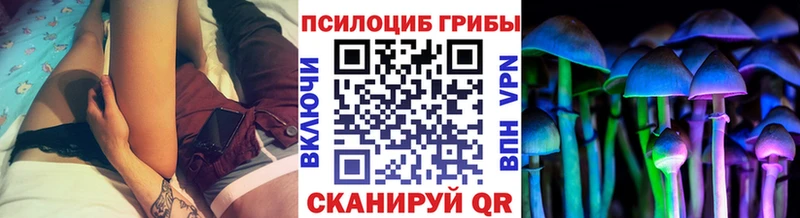 площадка как зайти  Палласовка  Галлюциногенные грибы Psilocybe 