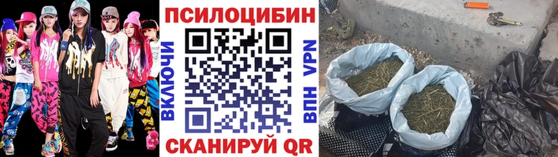 Галлюциногенные грибы Cubensis Палласовка
